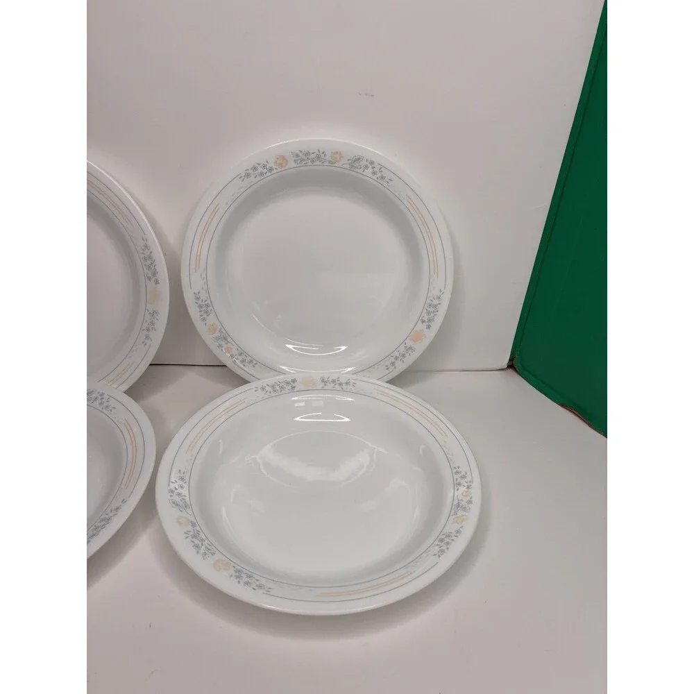 Corelle Apricot Grove Set of 4 Flat Rimmed Shallow Soup Salad Pasta Bowls 8.5